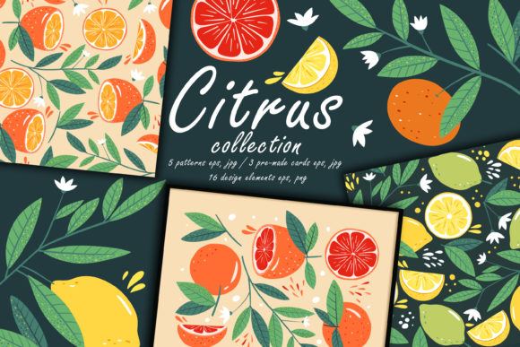 Download Citrus Collection. Botany Modern Pattern - Modern Collection